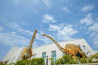 [NSP PHOTO]해남공룡박물관, 40만 관람객 시대 연다 세계도약 원년 선언