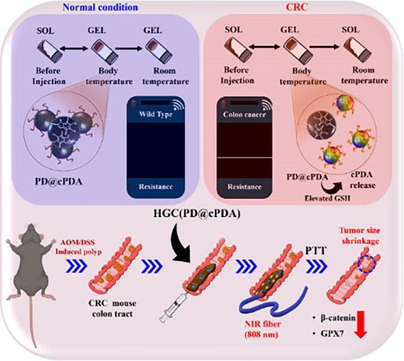 NSP통신- (사진 = 원광대학교)