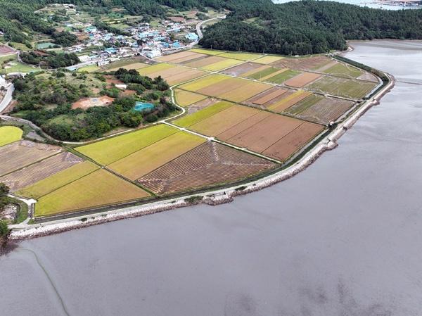 NSP통신-장흥군 회진면 장산방조제.. (사진 = 장흥군)