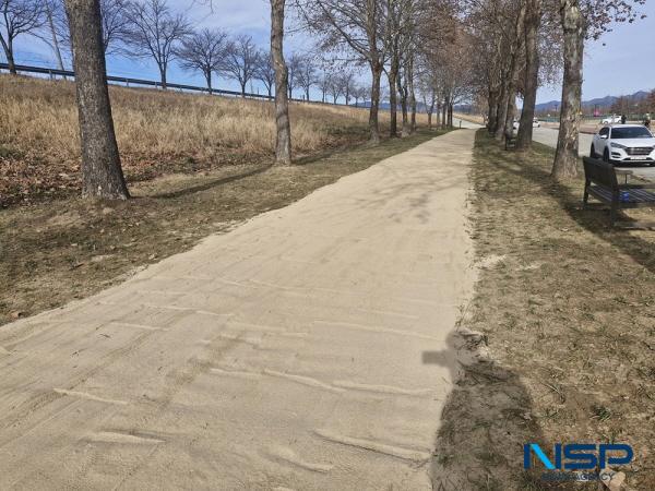 [NSP PHOTO]낙동강 따라 2.5km...구미, 플라타너스 그늘 아래 맨발길 새 단장