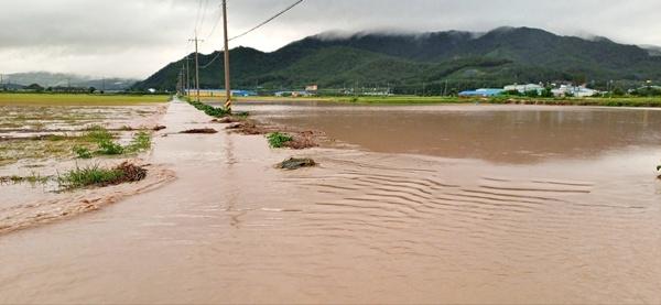 NSP통신-지난 2024년 9월 집중호우로 대규모 농경지 침수가 발생한 장흥읍 평장·덕제·순지리 일원 농경지. (사진 = 장흥군)