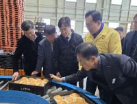 [NSP PHOTO]전남농협, 설 성수기 배 산지 출하 현장 점검 실시