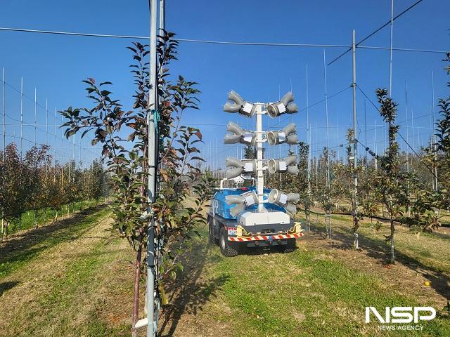 NSP통신- (사진 = 장수군)