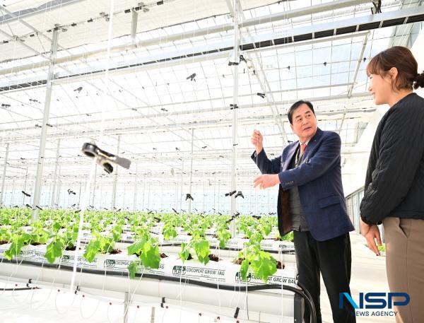 NSP통신-김천시는 최근 이상기후로 인한 농가소득 불안정과 농촌 일손 부족 문제에 대응하기 위해 스마트농업 육성에 힘을 쏟고 있다. (사진 = 김천시)