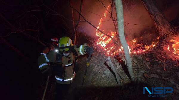 NSP통신-소방대원들이 산불을 진화하고 있다. (사진 = 경북소방본부)
