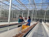 [NSP PHOTO]봉화군, 임대형 스마트팜단지 A동 쪽파 파종 들어가