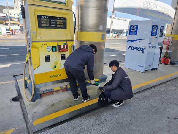 NSP통신- (사진 = 강진군)