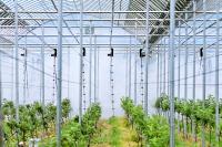 [NSP PHOTO]청송군, 재해대응형 과수재배시설 공모사업 20개소 선정...70억 확보