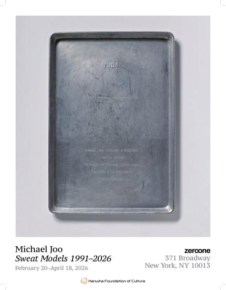 NSP통신-뉴욕 스페이스 제로원 마이클 주 개인전 포스터 (이미지 = 한화문화재단 제공)