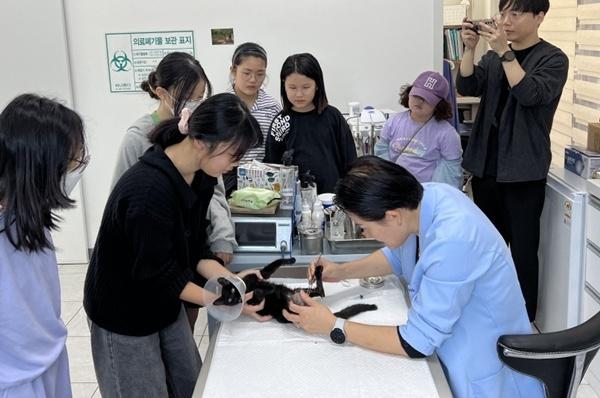 NSP통신- (사진 = 담양군)