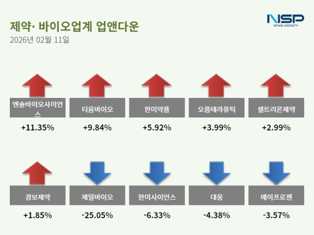 NSP통신- (그래프 = 정송이 기자)