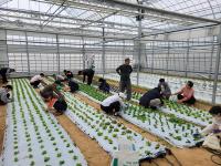 [NSP PHOTO]담양군, 신규농업인 기초영농기술교육 교육생 모집