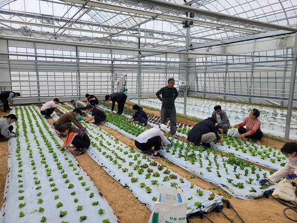 NSP통신- (사진 = 담양군)