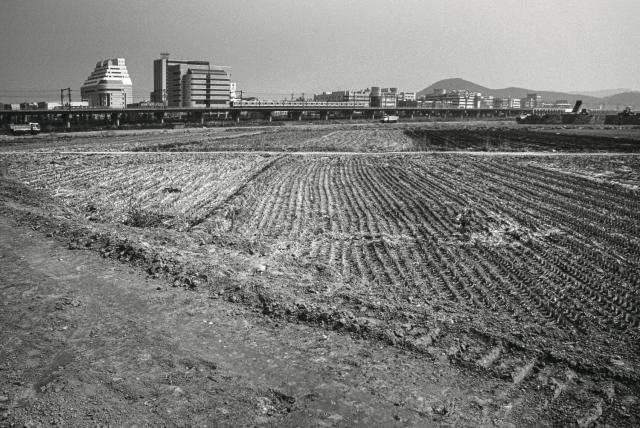 -1995년도 고잔뜰 전경 현재는 고잔신도시가 조성되어 아파트 단지로 변모했다 사진 안산문화원