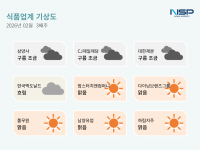 [NSP PHOTO][식품업계기상도]삼양사·CJ제일제당 등 제분7사, 설탕 이어 밀가루 담합 철퇴…맥날은 가격인상 맘터·bhc는 틈새 공략