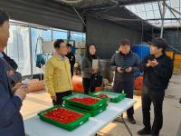 [NSP PHOTO]영천시, 청년농업인 영농 현장 방문