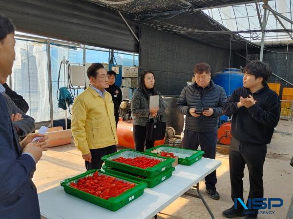 [NSP PHOTO]영천시, 청년농업인 영농 현장 방문