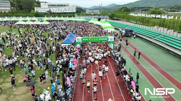 NSP통신-메타세쿼이아 길을 달리는 제21회 보성녹차마라톤대회-보성녹차마라톤대회 사진(2025년) (사진 = 보성군)