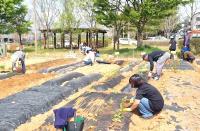[NSP PHOTO]나주시, 시민이 가꾸는 녹색체험 공간 공영 텃밭 분양