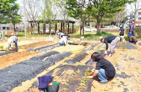 NSP통신- (사진 = 나주시)