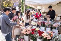 [NSP PHOTO]강진군,  강진 장미  반값 직거래 할인판매