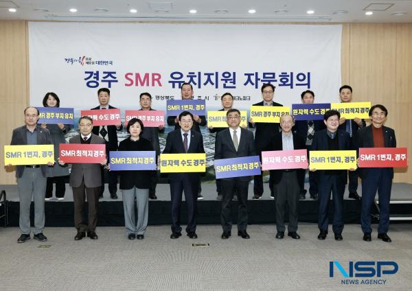 NSP통신-경상북도는 24일 경주 화백컨벤션센터(HICO)에서 국내 최초 소형모듈원전(SMR) 건설부지 유치를 위해 산·학·연·관 SMR 전문가 30여 명이 참석한 가운데 경주 SMR 건설부지 유치지원 자문회의를 개최했다. (사진 = 경상북도)