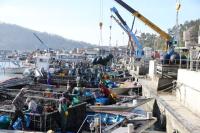 [NSP PHOTO]해남군, 관내 153대 다목적인양기 보험 가입