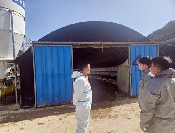 NSP통신- (사진 = 장흥군)