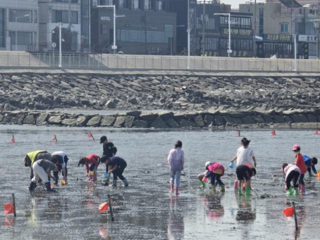 NSP통신-오이도 어촌체험휴양마을 갯벌체험 현장. (사진 = 시흥시)
