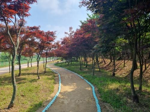 NSP통신-김포 나무숲길. (사진 = 경기도)