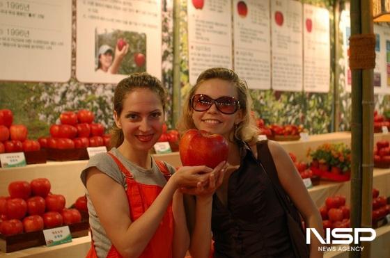 NSP통신- (사진 = NSP통신 DB)