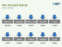 [NSP PHOTO][업앤다운]제약주 하락…메타케어·오름테라퓨틱↓