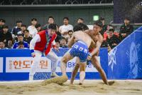 [NSP PHOTO]문경시 제56회 회장기 전국장사 씨름대회 개최
