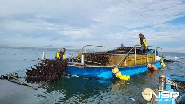 NSP통신- (사진 = NSP통신)