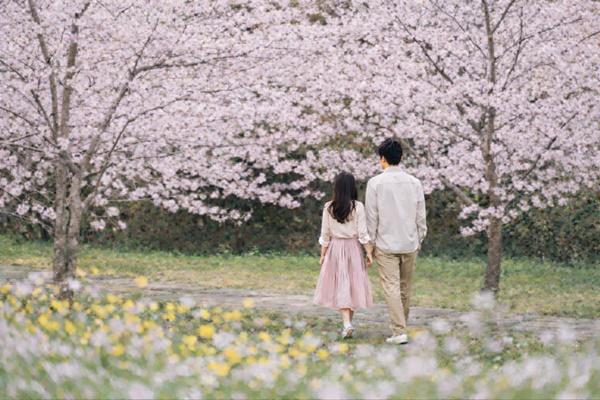 NSP통신-벚꽃이 만개한 예래생태공원에서 산책 중인 제주신라호텔 고객 사진 호텔신라