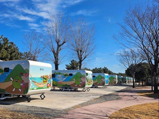 NSP통신-배알도별빛야영장 사진 광양시청