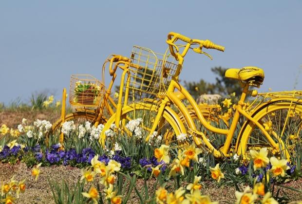 NSP통신- 사진 신안군