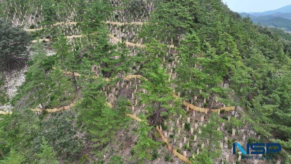 NSP통신- 사진 완도군