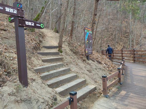 NSP통신-안동시 성곡산호반나들이길 연결등산로 신설 숲길의 상쾌함과 둘레길의 여유를 동시에 12km 구간 새 단장 완료 사진 안동시