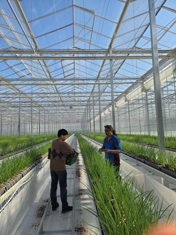 NSP통신-봉화군이 추진 중인 임대형 스마트팜단지 조성사업이 첫 성과를 냈다 사진 봉화군