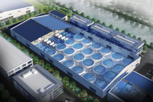 [NSP PHOTO]포항 연어양식특화단지 조성 탄력LH 공공토지비축사업 선정