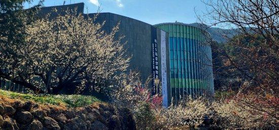 NSP통신-광양매화문화관 전경 (사진 = 광양시청)