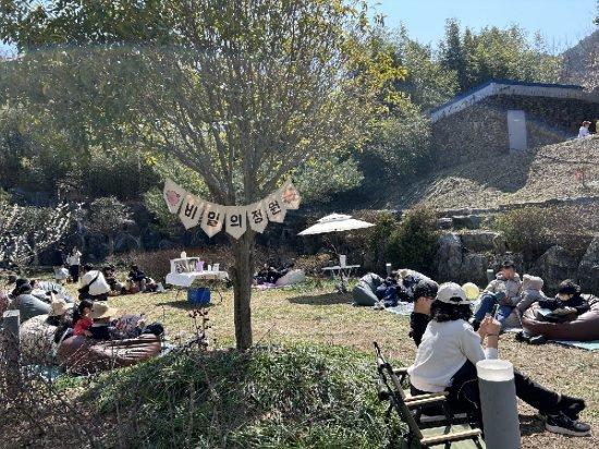 NSP통신-광양매화축제장 운영 중인 팝업도서관 비밀의 정원 방문객들 빈백과 캠핑의자에 앉아 책 읽기 사진 광양시청
