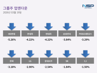 [NSP PHOTO]업앤다운그룹주 하락HD현대한화