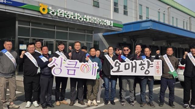 [NSP PHOTO]전남농협 능주농협과 영남권 동행 마케팅 실시