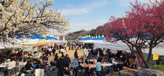 NSP통신-광양매화축제 공연먹거리체험 갖춘 축제장를 찾은 방문객들 광양시청