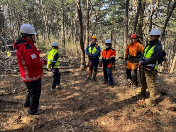 NSP통신-포항시는 산림 내 벌목 작업 과정에서 발생할 수 있는 중대재해를 예방하기 위해 소나무재선충병 방제 현장에 대한 고강도 안전관리 대책을 추진하고 있다 사진 포항시