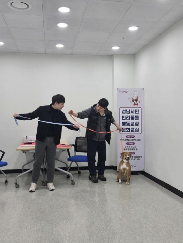 [NSP PHOTO]3분신청가이드성남시 반려견 문제행동 교정 교육 무료 운영전문 훈련사 맞춤형 상담
