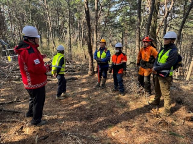 [NSP PHOTO]포항시 소나무재선충병 방제 현장 안전관리 강화중대재해 차단 총력
