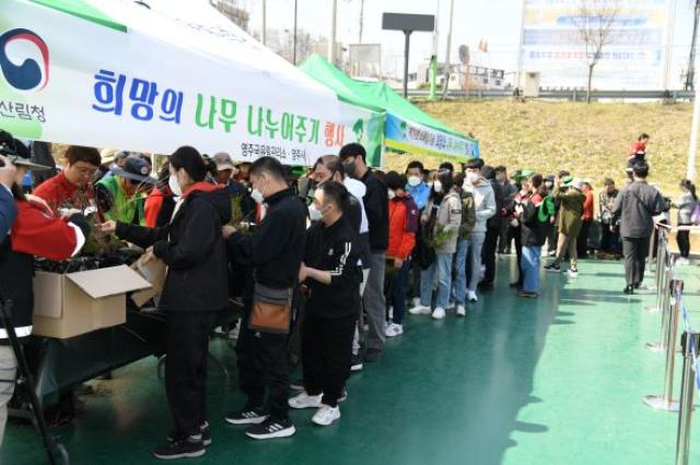 [NSP PHOTO]영주시 식목일 맞아 음나무 나눠주기 행사 추진